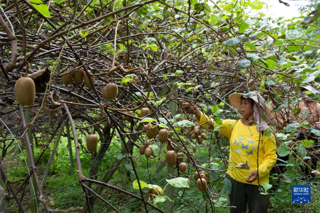 捕鱼王游戏技巧
